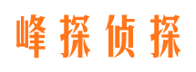 巴中市私家侦探